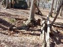 100_2082.JPG