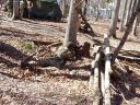 100_2083.JPG