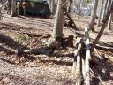 100_2084.JPG