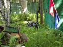 100_0608.JPG