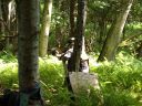 100_0652.JPG